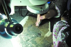 触摸亿万年前(组图)