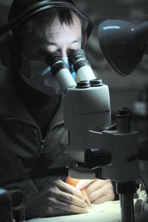 触摸亿万年前(组图)