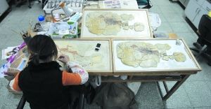 触摸亿万年前(组图)