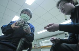 触摸亿万年前(组图)