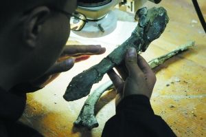 触摸亿万年前(组图)