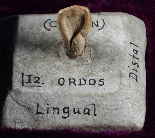 说明: http://10.20.40.10/webpic/W0202007/W020200713/W020200713470219444566.jpg