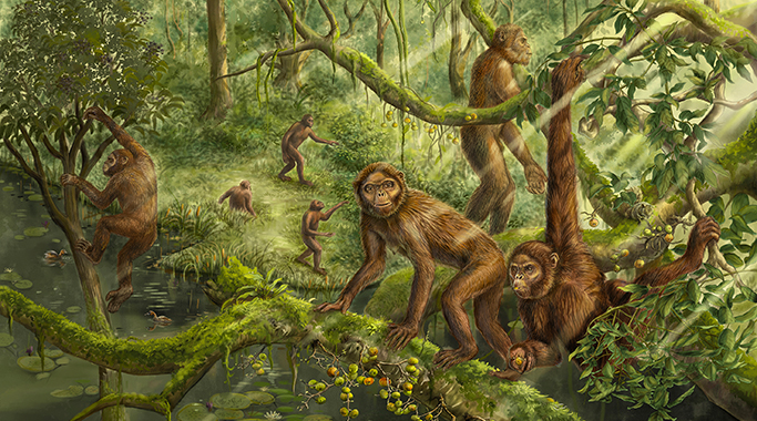 禄丰古猿内耳研究揭示猿类运动方式演化和人类直立行走的起源 