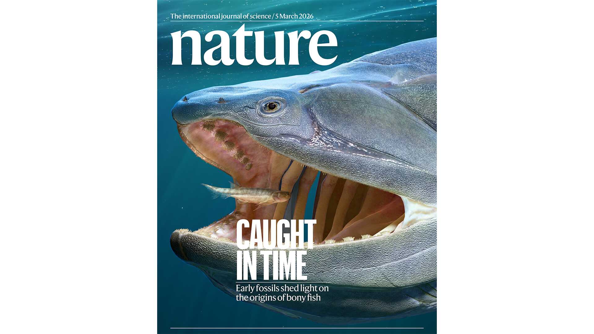 志留纪硬骨鱼类研究填补“从鱼到人”早期演化重大空白